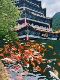 汕尾海豐·雞鳴寺｜粵東第一大佛