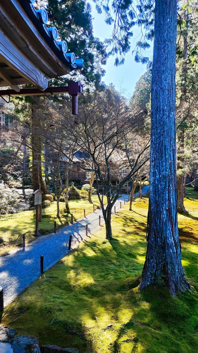 京都秘境之三千院