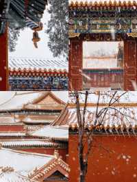 北京初雪終於要來了附詳細故宮私藏機位