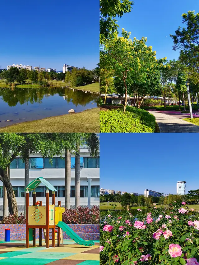 Shenzhen Xiangmi Park | The most beautiful and romantic 'marriage registration office'