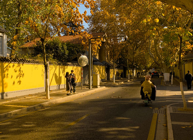 南京頤和路，最美街巷拍照打卡地