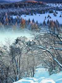 走進北方的香格里拉 | 山西的雪鄉蘆芽山