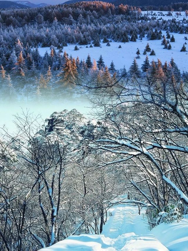 走進北方的香格里拉 | 山西的雪鄉蘆芽山