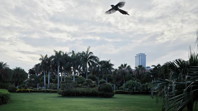 “人在海上，海在城中”說的就是廈門白鷺洲筼筜湖！