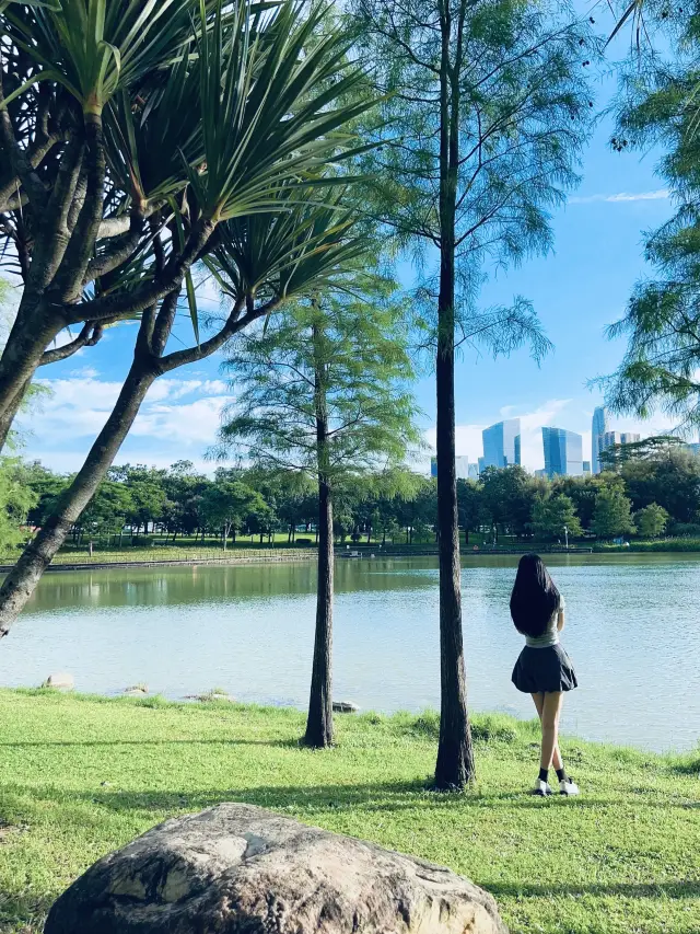 The netizens didn't lie to me, the Futian Central Park in Shenzhen is so beautiful