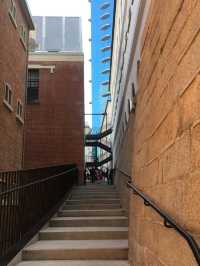 香港必去打卡點中環大館—歷史參觀展覽全都有！
