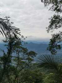 冬季到海南來看山，徒步行走在熱帶雨林