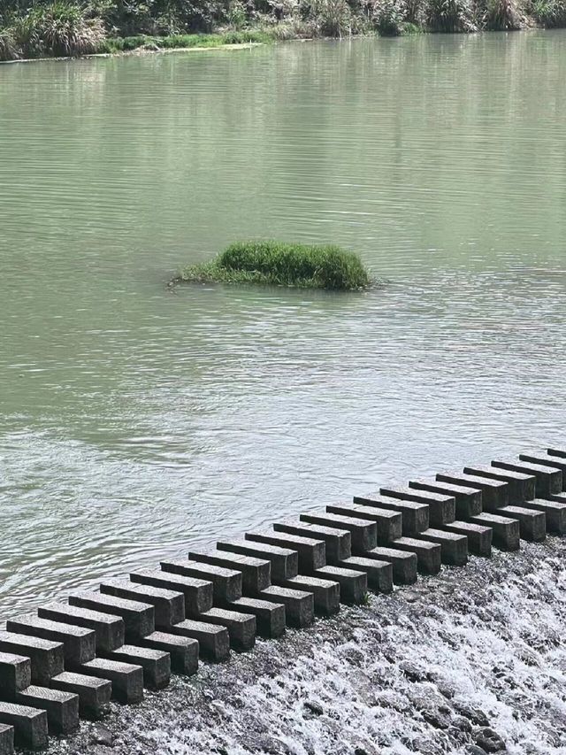 浙江泰順南浦溪享受山裡的漫時光