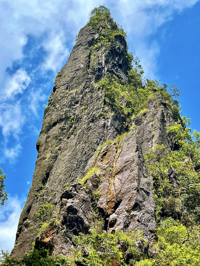 初秋已來，【莽山五指峰】萬峰層巒間的紅葉季即將來臨