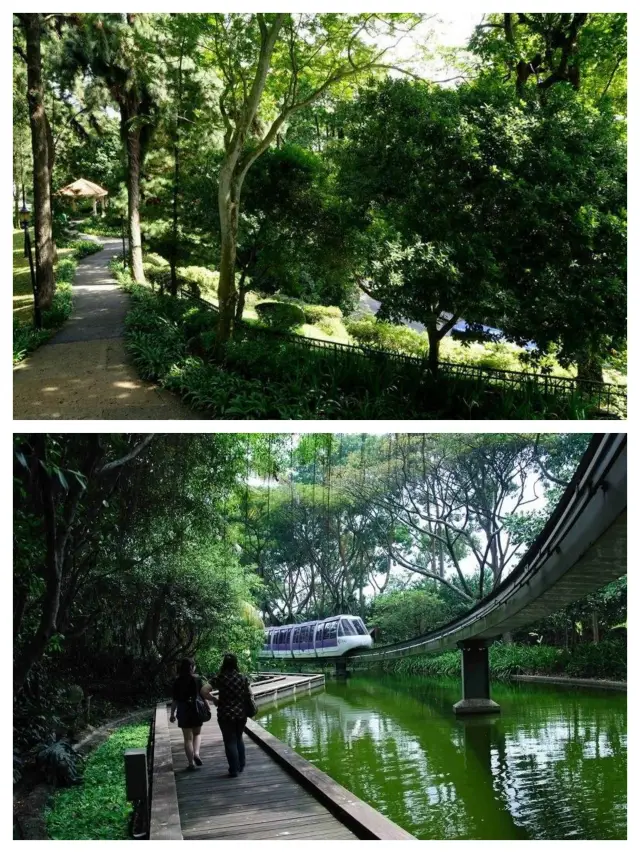 สถานที่สำคัญสำหรับการเดินเท้าในสิงคโปร์‖ อุทยานภูเขา Mount Faber