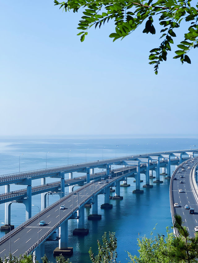 大連｜星海灣跨海大橋最佳觀景點打卡攻略