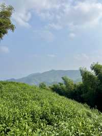 杭州徑山｜在十二月令偷得浮生半日閒～
