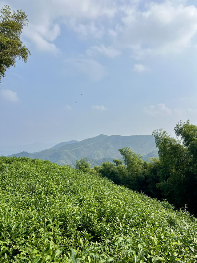 杭州徑山｜在十二月令偷得浮生半日閒～
