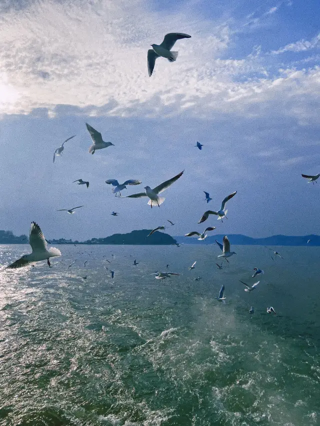 Turtle Head Isle in Wuxi | A fairyland on Taihu Lake