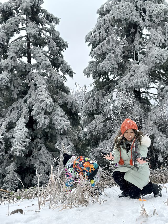 無需遠赴南方小土豆勇闖南國雪鄉攻略