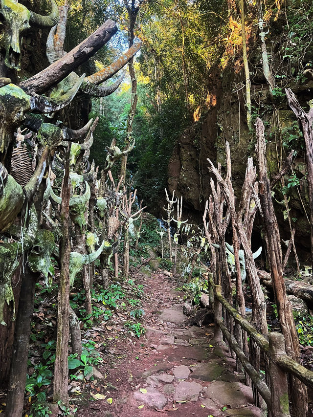 探尋少數民族文化｜神秘的原始宗教聖地——龍摩爺