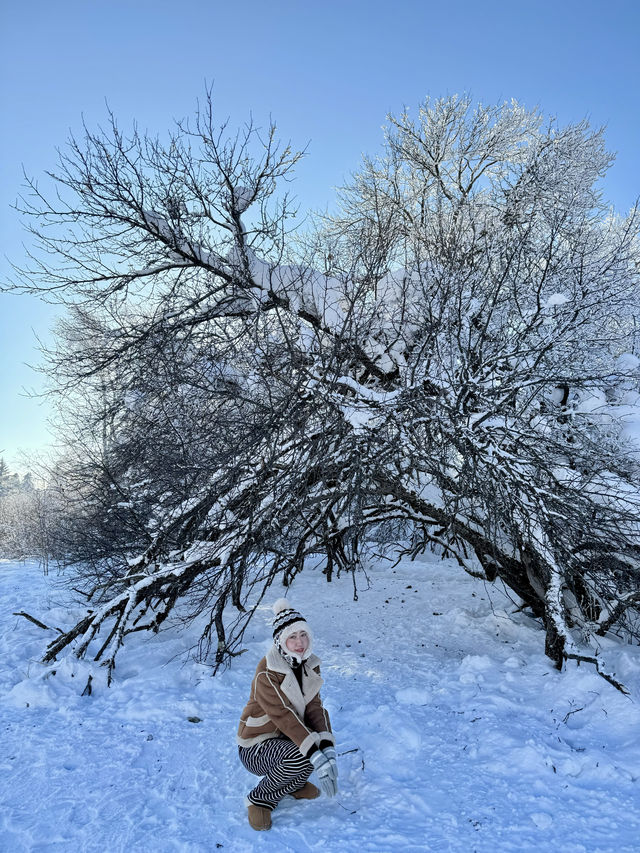 雪嶺芬蘭即視感