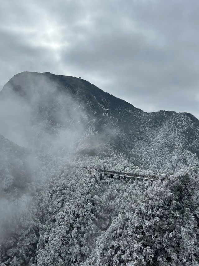 廣東又降溫了！這不得抓住最後的機會去看雪！