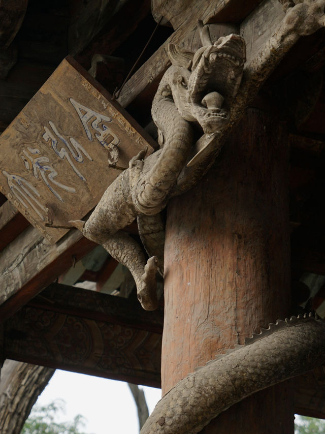 晉祠｜聽說今年被龍看過的人，不『福』不行