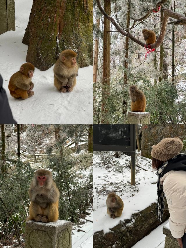 庐山兩天一夜旅遊攻略