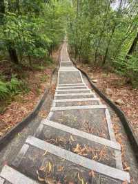 東莞市大嶺山森林公園白石山景區