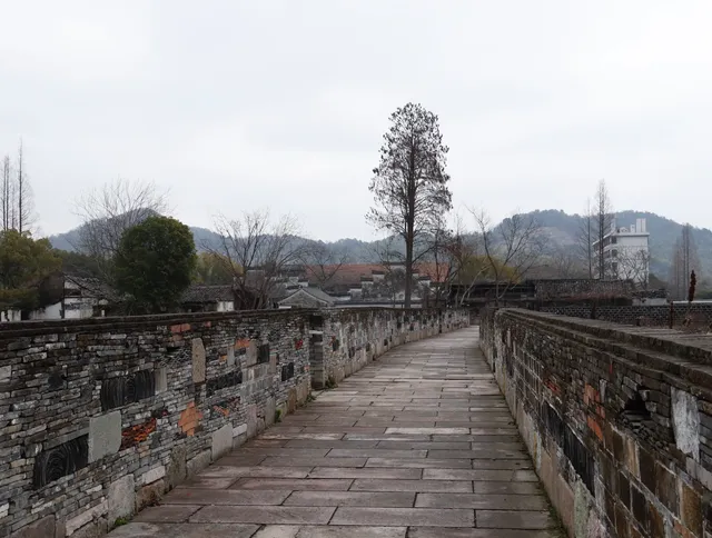 寧波周邊旅遊新熱點！中國首個年糕之鄉