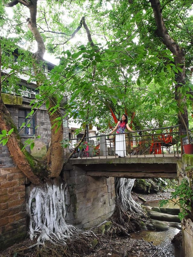 重慶偏岩古鎮丨黑水灘河消夏避暑，黃葛樹盤根錯節，雙槍老太婆