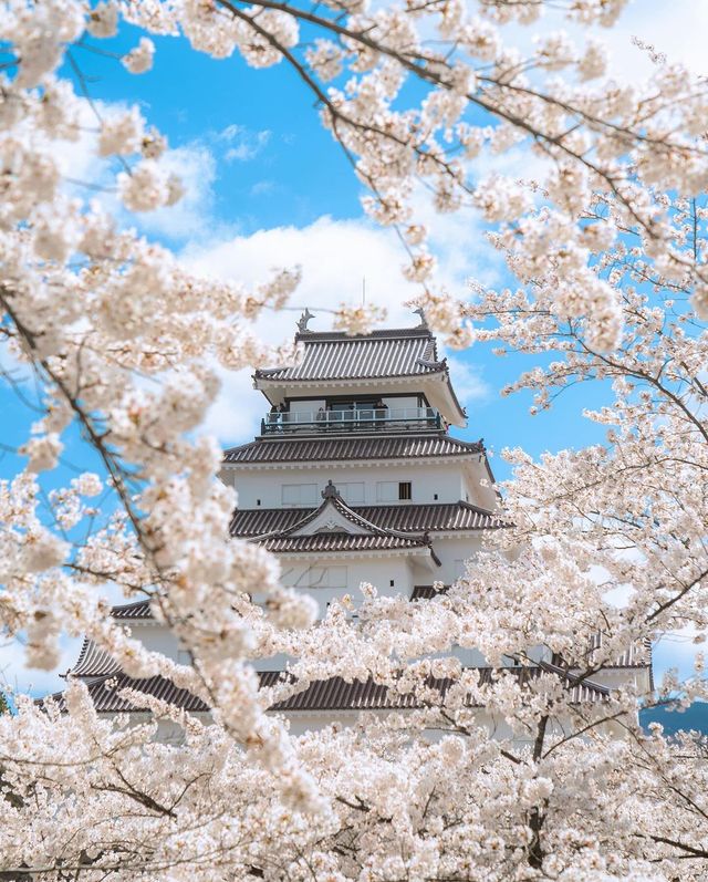 福島のミニガイド🌸