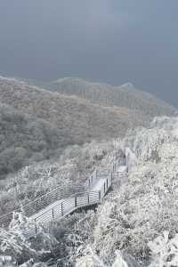 冬天的第一場雪｜我在鸬鳥山看了絕美霧凇