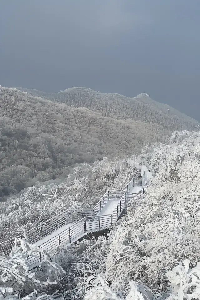 冬天的第一場雪｜我在鸬鳥山看了絕美霧凇