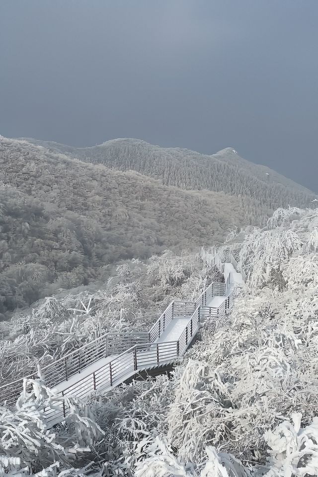 冬天的第一場雪｜我在鸬鳥山看了絕美霧凇