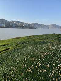 春節去哪兒｜彩虹村人擠人？這個石塘小眾海島人少景美