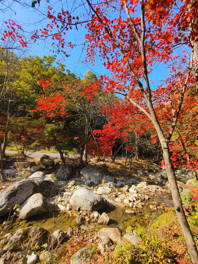 本溪大冰沟景區