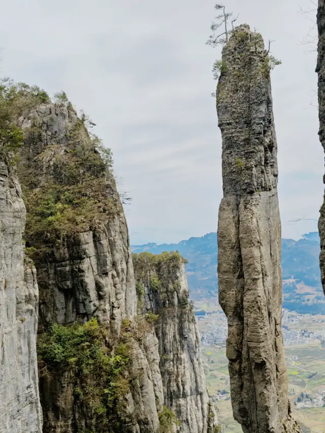 북위 삼십도, 산수상의, 대미은사