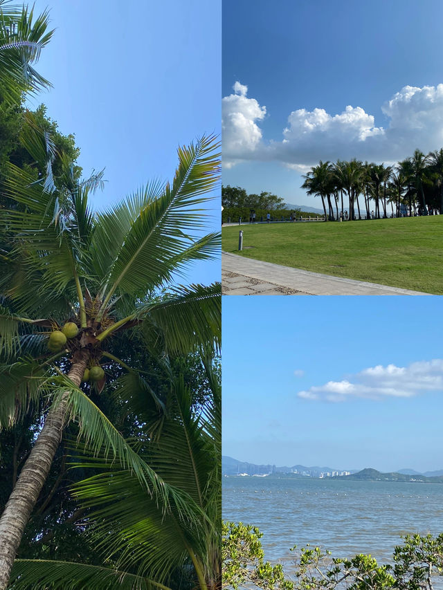 這裡是三亞|深圳海濱生態公園遊玩攻略