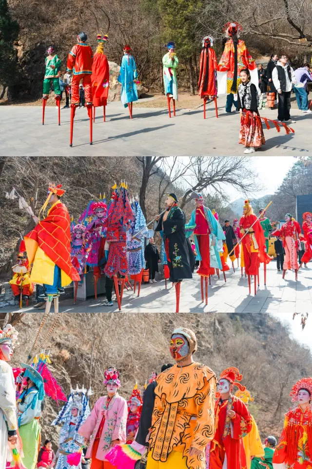 Jinshanling Great Wall | Apricot Blossom Festival | The quintessence of Chinese aesthetics in full display