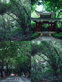 深圳筆架山公園！城市機位落日爬山攻略