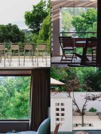 城市山林隱逸：不出市區，直面龍井茶園