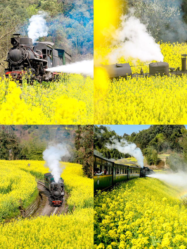 春天玩點花的｜樂山嘉陽小火車旅行