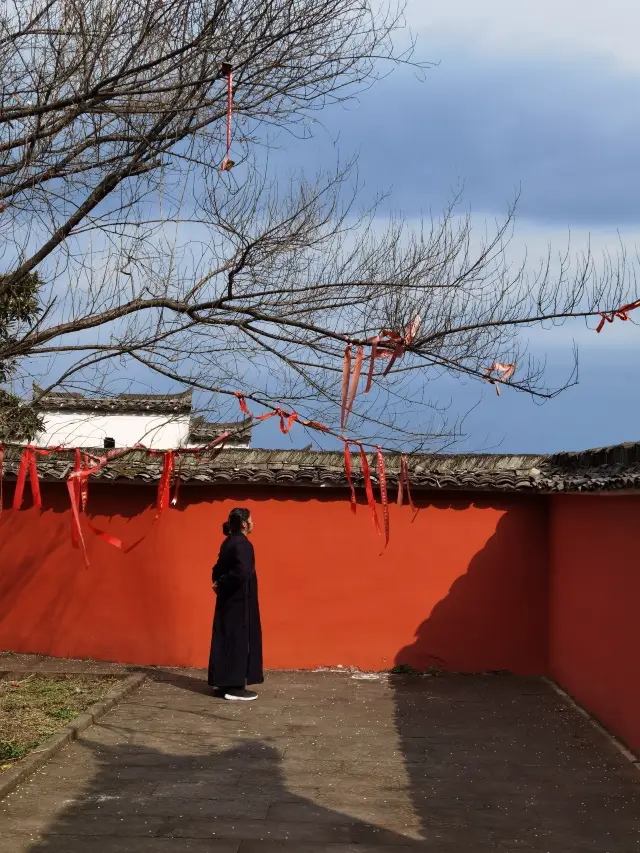 月華天街的榔梅園