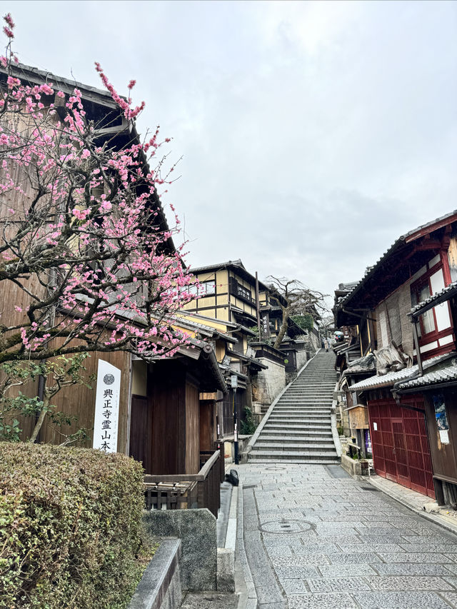 京都祇園塞萊斯廷酒店