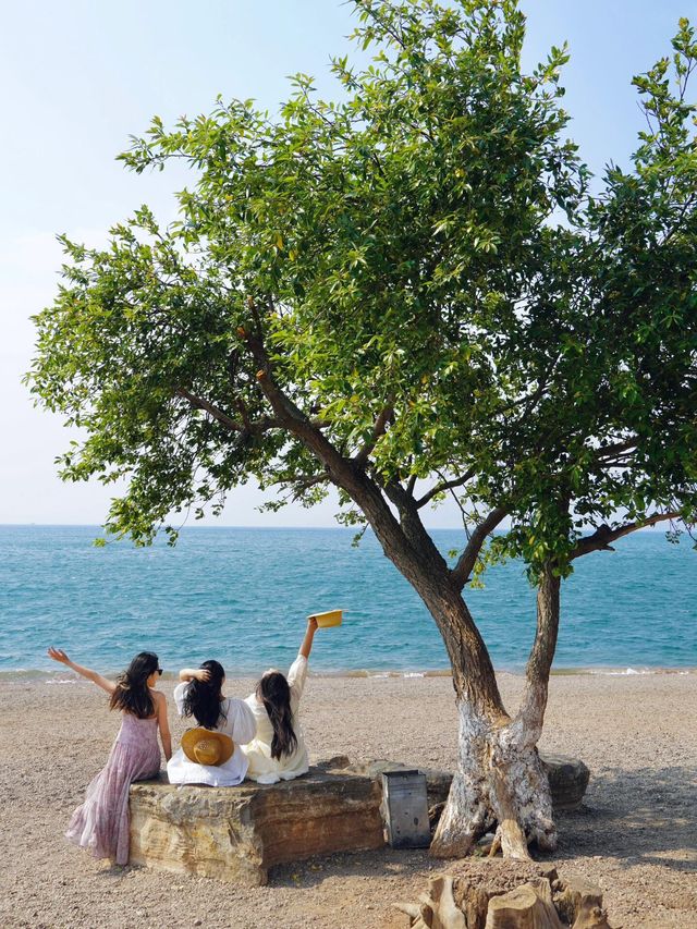 洱海人太多，不如去抚仙湖live直出！！！