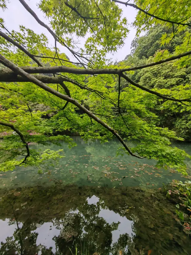 杭州14個絕美徒步露營地 簡直就是菊次郎的夏天