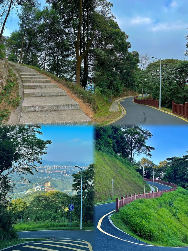 油麻山森林公園：竹林溪澗親子遊，撈魚捉蝦樂逍遙！