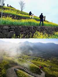紹興覆卮山景區賞油菜花