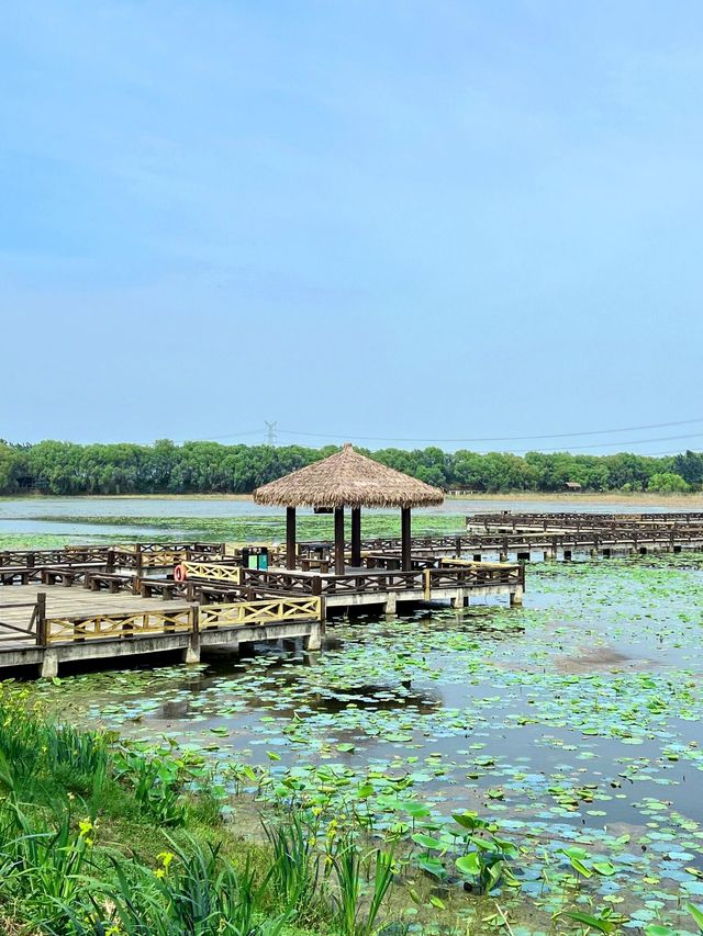 焦岗湖