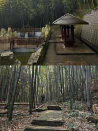 重慶永川｜天然氧吧茶山竹海