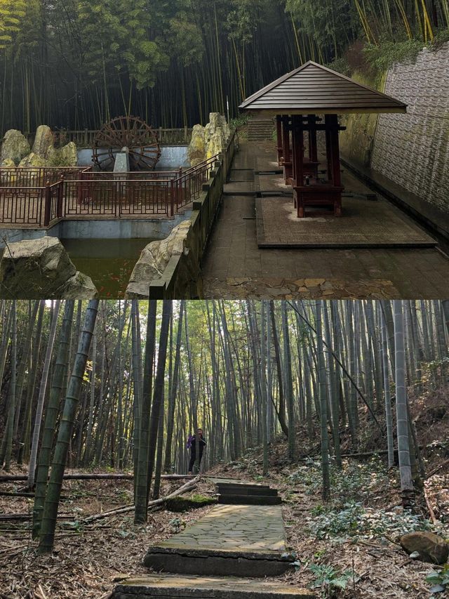 重慶永川｜天然氧吧茶山竹海