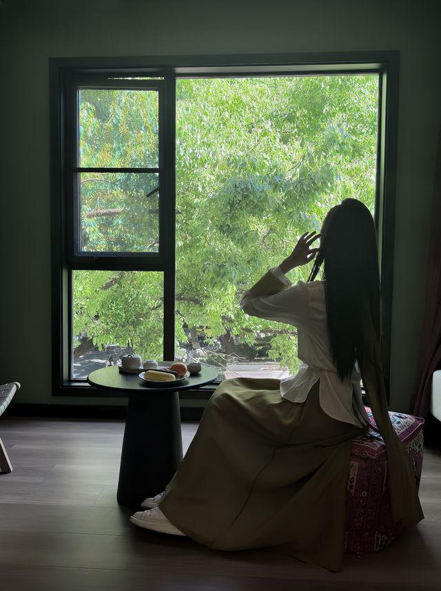 再次來到南京