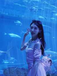 打卡海底世界｜ 探索海洋的的神秘